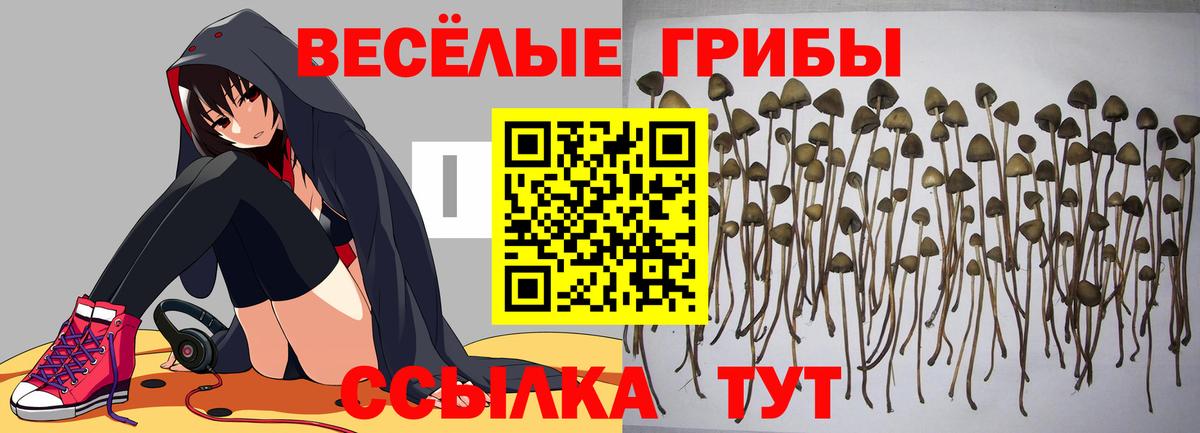 наркошоп  Галлюциногенные грибы мицелий  Вход с VPN  Кстово  Псилоцибиновые грибы мицелий 